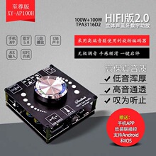 XY-AP100H 100W HIFIw{ֹŰģKTPA3116