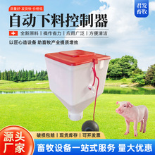 半自动下料器同步喂料定位栏料线母猪饲料桶定量杯猪下料斗喂料机