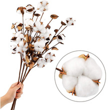 �����޻� 10�^ľ�޻�֦���滨�Ҿ��b�c������ֲ� �Ҿӿ͏d