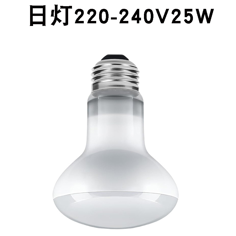 R63220v 주광등 25w