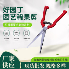 好园丁葡萄剪修枝剪园艺采果芽剪柑橘子修花稀果摘果水果蔬果剪刀