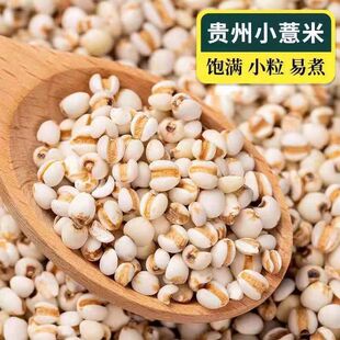 ޲�����l�Ҝ��������޲���r���Ԯa����s�Z��؛�����״��b���]