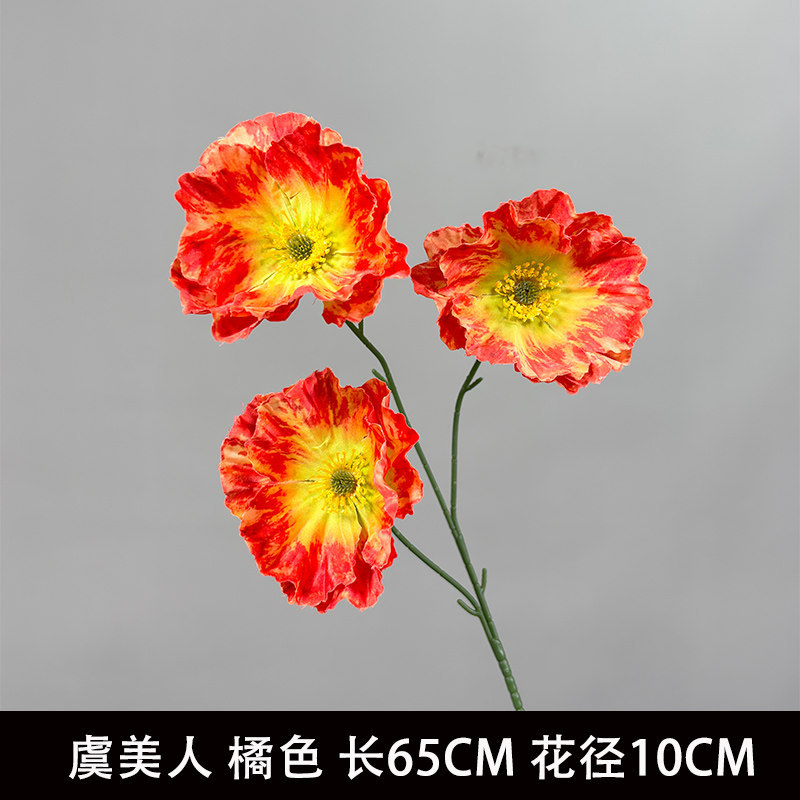 虞美人