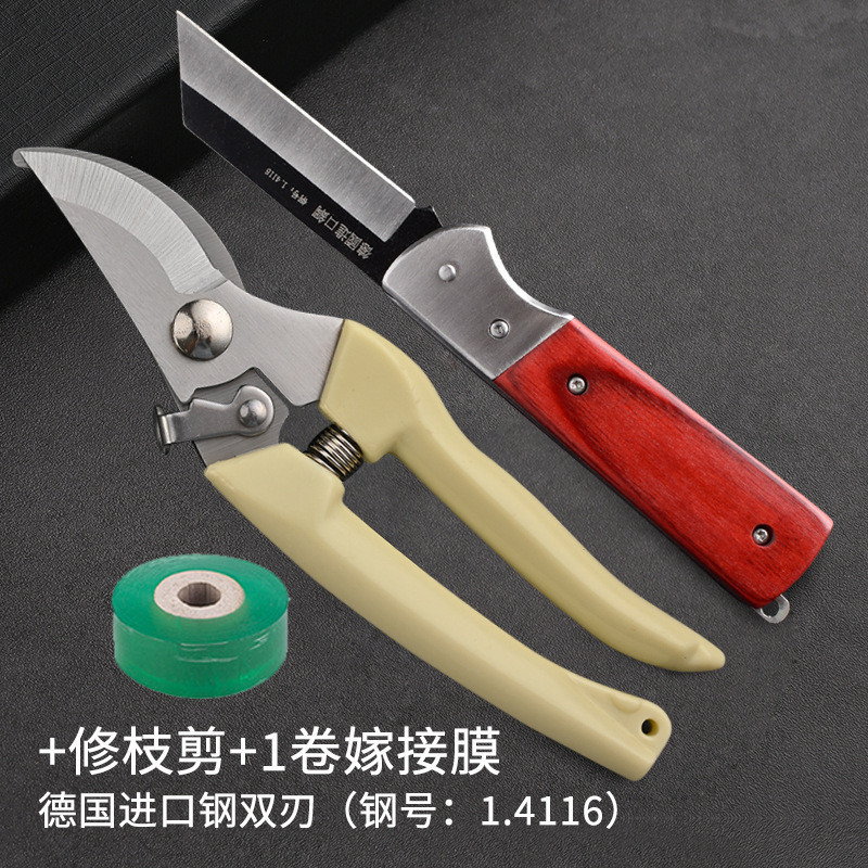 ドイツから輸入した果樹接ぎ木用の鋭い鋼のナイフ、大きなバラの左手用の特別なツール、プロの接ぎ木ナイフ|undefined