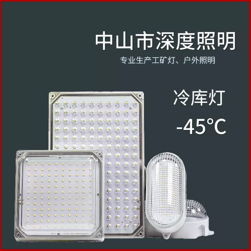 低压直流AC12V-48V防潮防爆低温冻库冰库冷柜三防灯led冷库灯工厂