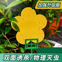 �½��ɰl-С�S�廨������ճ�x�����С���wճ�x���p���ˮ�Tճω