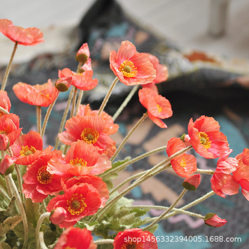 小虞美人 深珊瑚粉-1.jpg