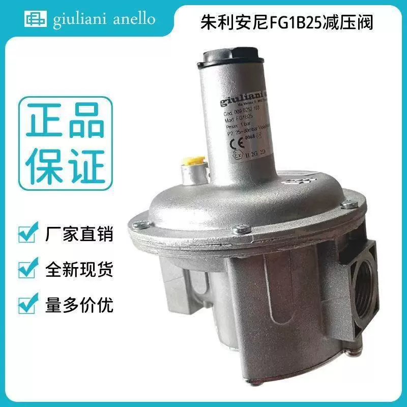 Газовый редукционный клапан Giuliani FG1B15/ FG1B20 /FG1B25 Италия клапан регулирования давления