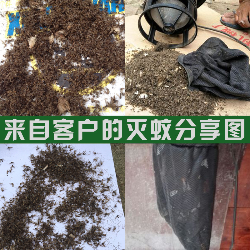 Lámpara antimosca para granjas, física, para ganado y ovejas – Mayorista de Yiwu