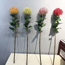 �b廨ֲëᘷ��滨���l ���|�������������ᘉ|���[���Ꭷ��