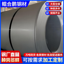佛山厂家直销spcc冷轧板1.0拉伸冷轧铁板卷DC01可开平分条加工