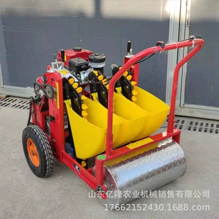 高效率大蒜播种点播机 汽油五行种蒜机 农用蒜种栽种机