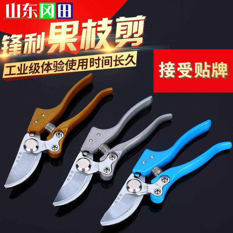 长春藤果枝剪  SK-5钢材园林修枝剪果树剪家用粗枝剪批发现货供应