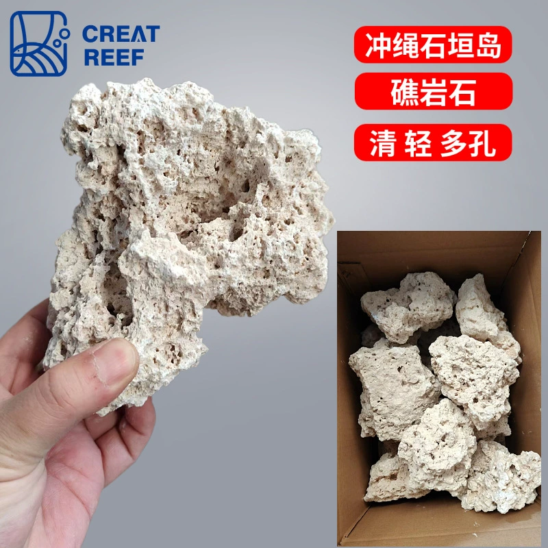 Japan Creat Reef Create Reef Human Java Island dry rock seas landscaping stone instead of living stone artificial mining