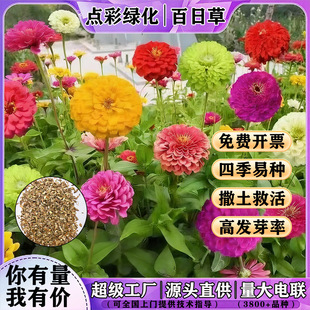 ���ղݻ��ѻ�ɫ�ذ��׻��ļ����NͥԺ�̨���Զ������׻�ݻ��N��