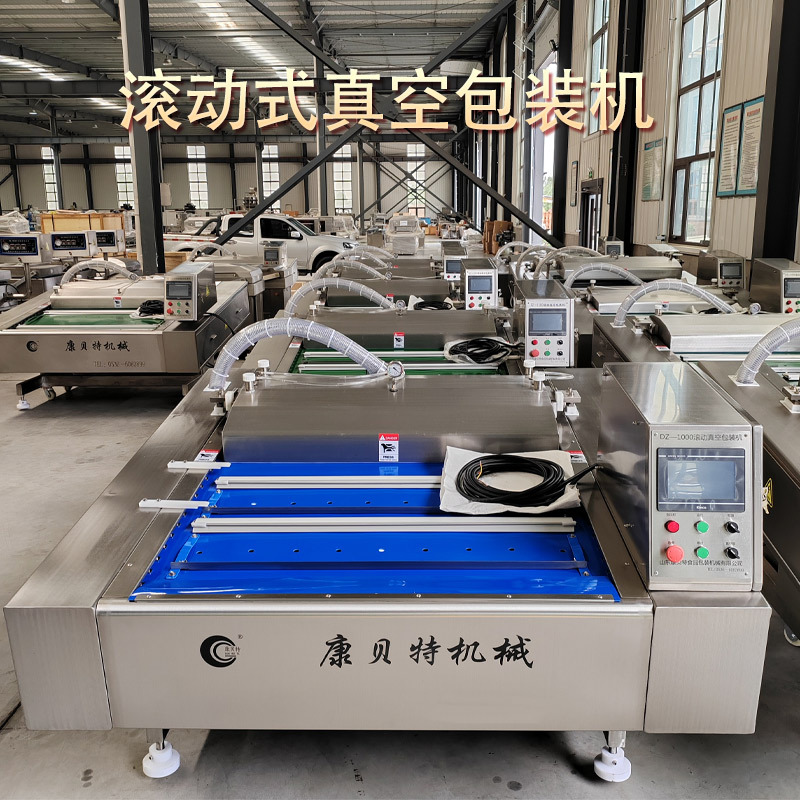 豆制品真空包装机 大辣片滚动式真空包装机