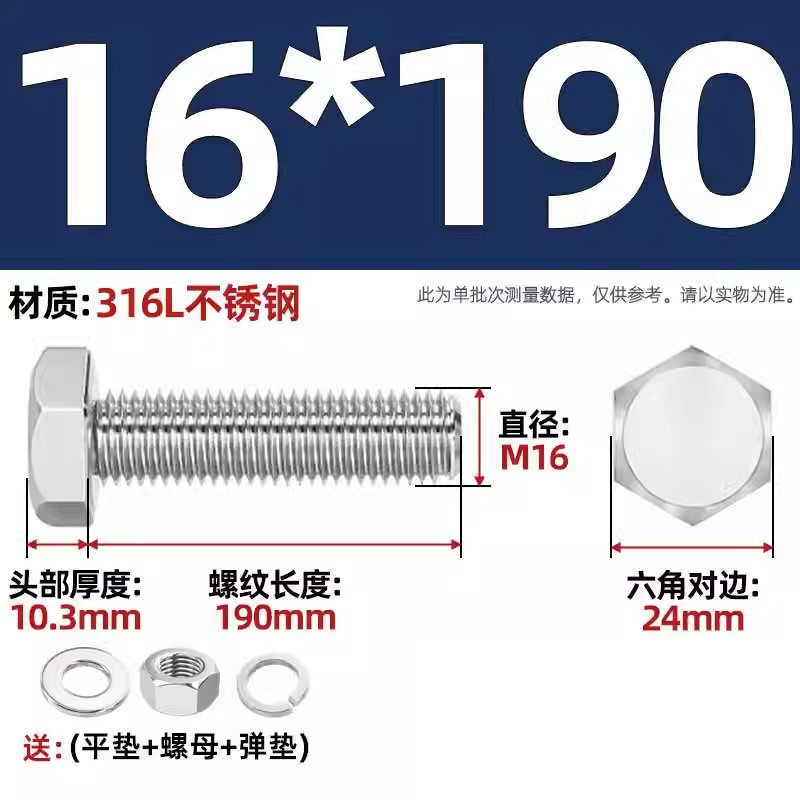 316L acero inoxidable perno hexagonal macho conjunto de tuerca de tornillo conjunto de cojín elástico plano completo M6M8M10M12-M20 image 198