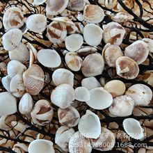 ��Ȼؐ�����ݰ����u �ֹ�DIY���� �~������b� ����ؐ�����l�ĸ�