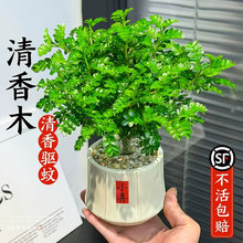 �������ľ�k���҃�����GֲС�������ֲ���辰�ļ����B���ܾGֲ