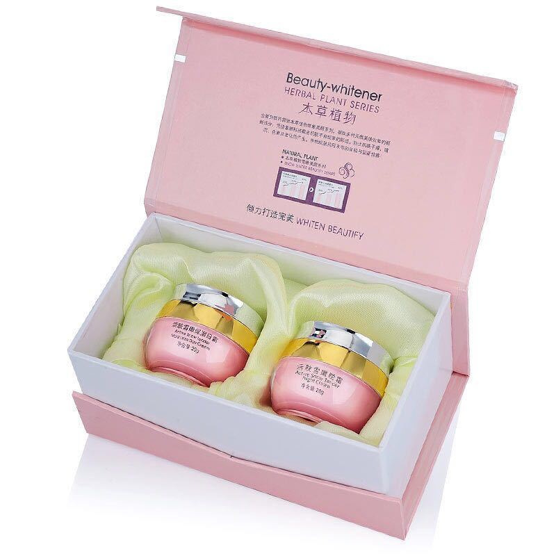 雷驰活肤雪嫩美颜二合一套装 本草植物护肤保湿日晚霜雷池化妆品