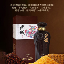 沙城老窖【2017】38度浓香型白酒景德镇陶瓷瓶装高端礼盒老字号