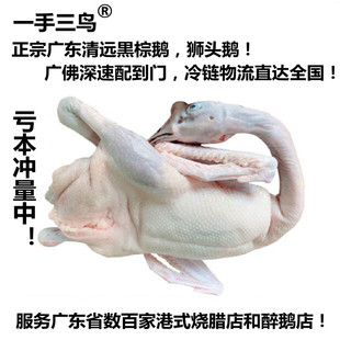 �V�|�������Z���Z�{�^�Z��ʽ���Z����Ȼ���Z���r�Z�r���Zȫ���l؛