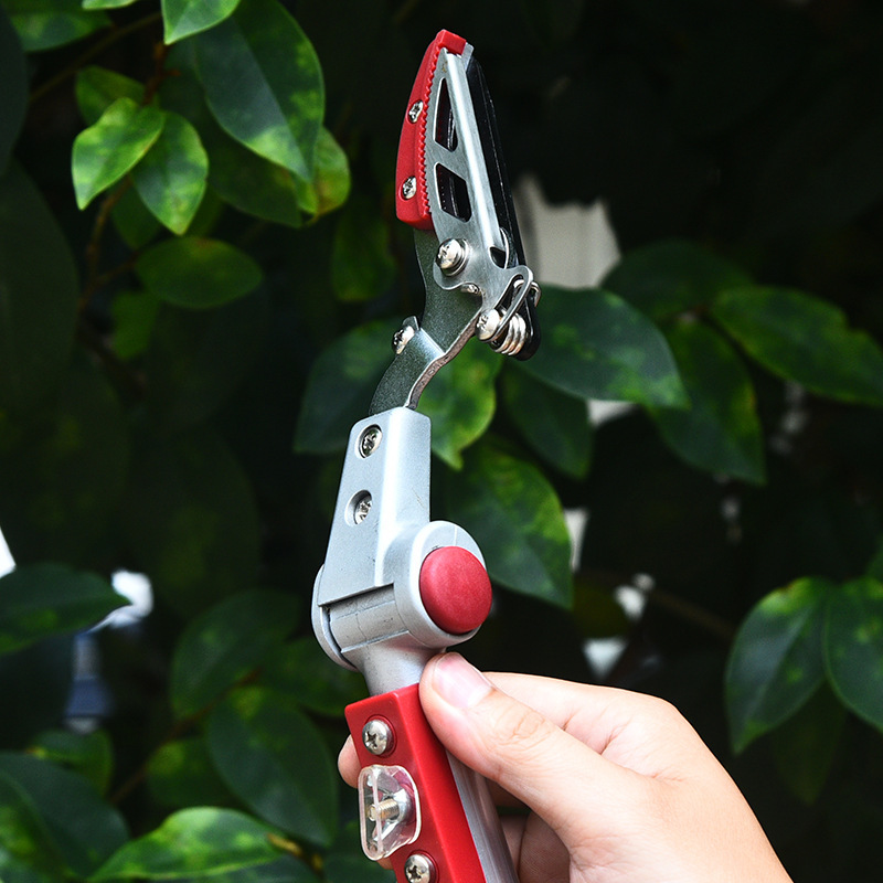 摆头式高枝摘果剪多功能带锯片采果剪园林工具伸缩高空修枝剪刀