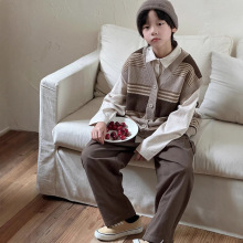 男童秋季新款中大童毛衣马甲2025韩版细波纹青少年童装针织马夹