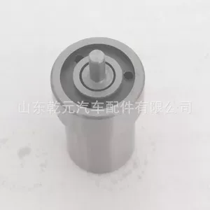 Nozzle wholesale DN0PD124 DN0PD20 DN0PD21 DN0PD31 DN0PD58