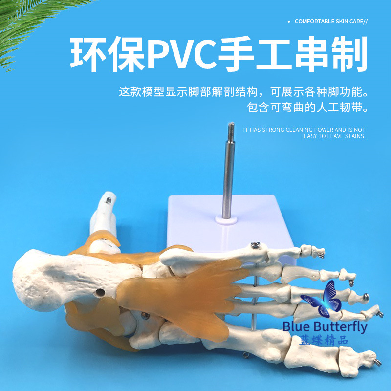 1:1�Źؽ�ģ�� ��������ؽ� �����㲿ģ�� ��ѧ��ѵר�ù���ģ��