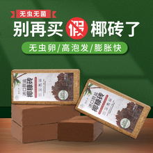 ҬuIBͨҬҬҬNBN˷NֲKҮu