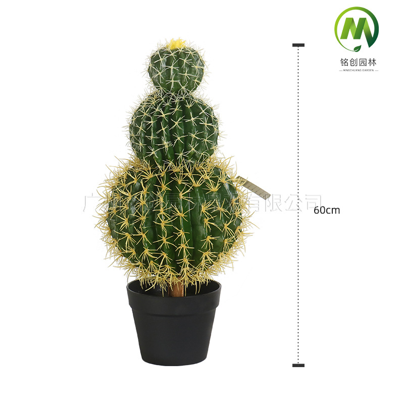 Decoración de paisajismo de plantas falsas en el desierto tropical image 39