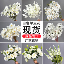 ��ɫ���滨��Y�����b�c�û��ٻ������Ҿ��b���ɫ���滨���l