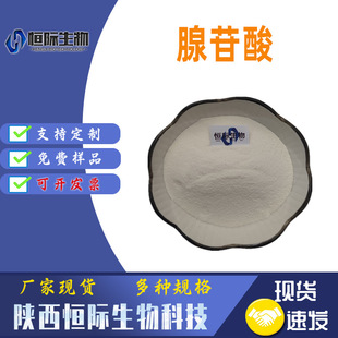 ������ 5'-�������� 5'-�����ʺ�߰�� AMP �S�ҹ��� �gӭ��ԃ