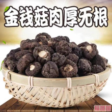 福建农家土特产金钱菇500g超小限量珍珠菇干货小香菇特小浓香特嫩