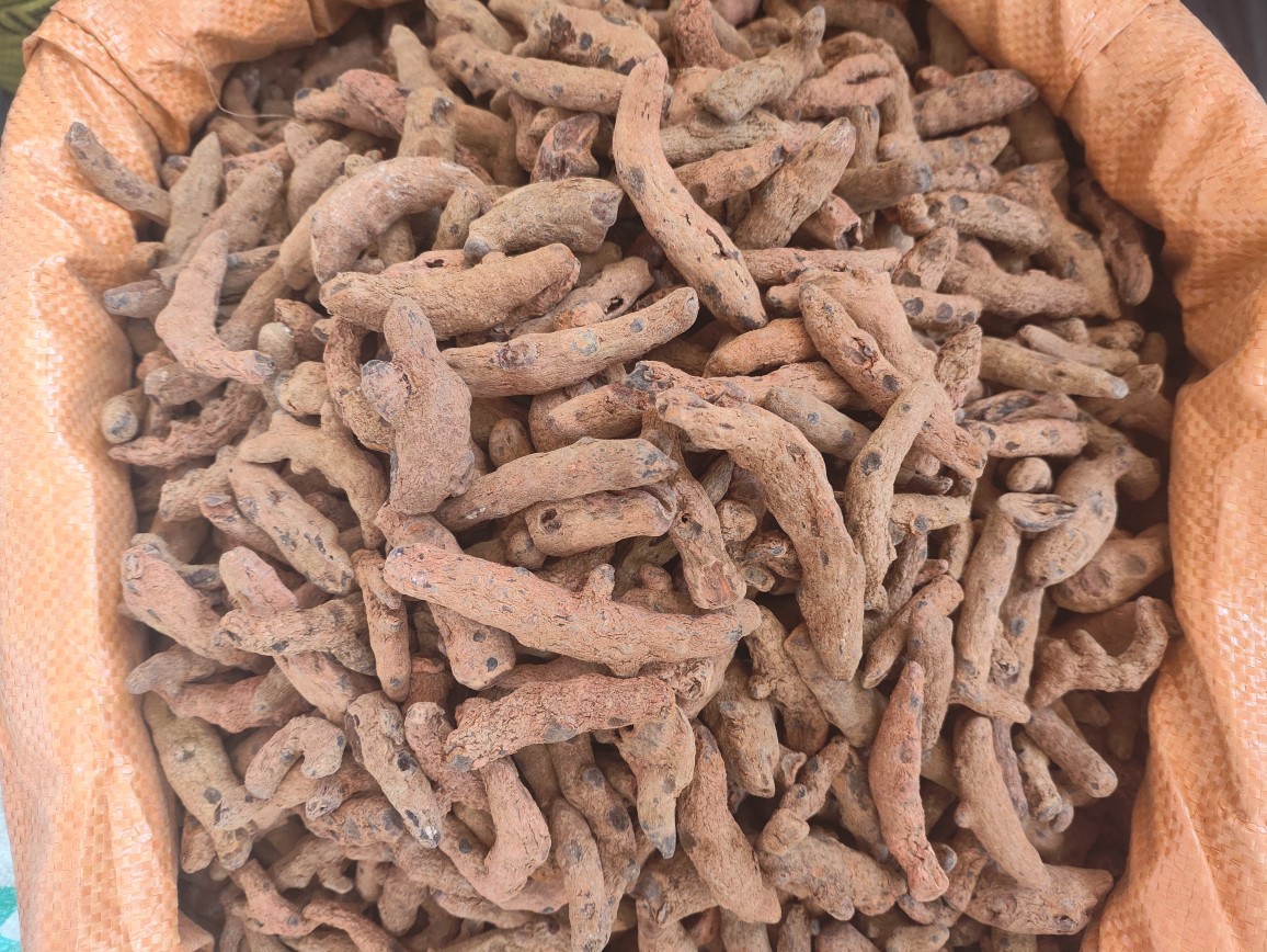 Xue San Qi (Blood Panax) — Dried Herbal Root, 250g Powder-Grade overview