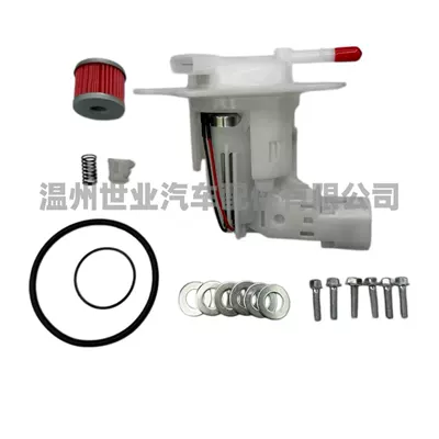 Original Factory Fuel Pump 16700-Men-A52 for Honda Crf250 Crf450 R/Rx 2009-2024 (Oil pump, nozzle)