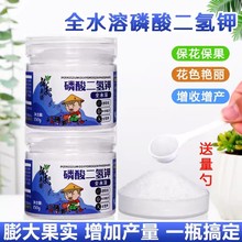 通用磷酸二氢钾肥料花卉专用正品农用叶面肥盆栽花卉月季水溶花肥