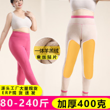 冬季女士加绒加厚羊羔绒秋裤内穿百搭打底羊绒贴片高腰保暖裤女