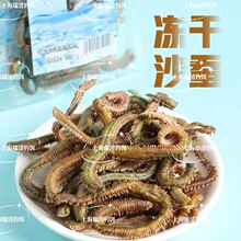 冻干沙蚕活沙蚕干海蚯蚓海蚂蟥海蜈蚣海钓鱼饵包邮矶钓饵