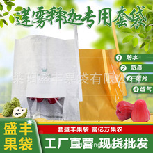 【盛丰】莲雾释迦果通用套袋可视开窗防虫防水育果套袋