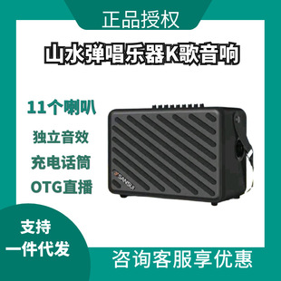 Shanshui Audio Ss803 Outdoor Karaoke Live Broadcast Sound Card Musical Instrument Playing and Singing Portable Satchel Home Singing Speaker