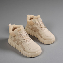 Ь2025¿ŮЬӽq\eЬ߱ůѥŮZY12253