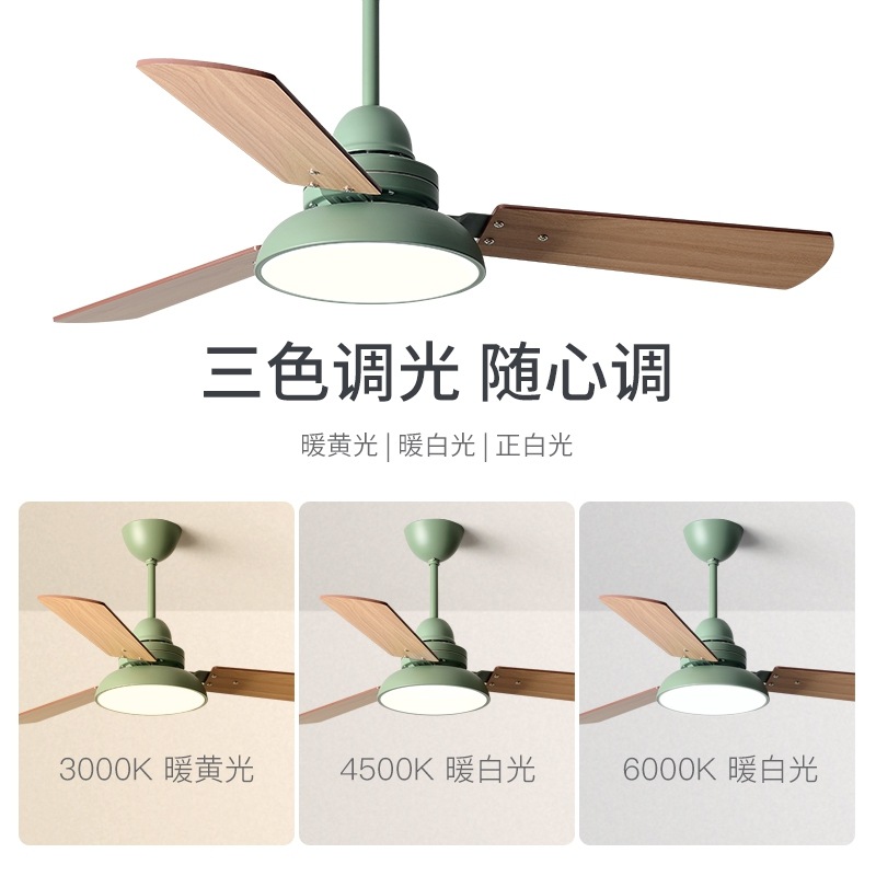 North European ceiling fan lamp restaurant living room with electric fan light modern minimalist bedroom home use silent study room child ceiling lamp