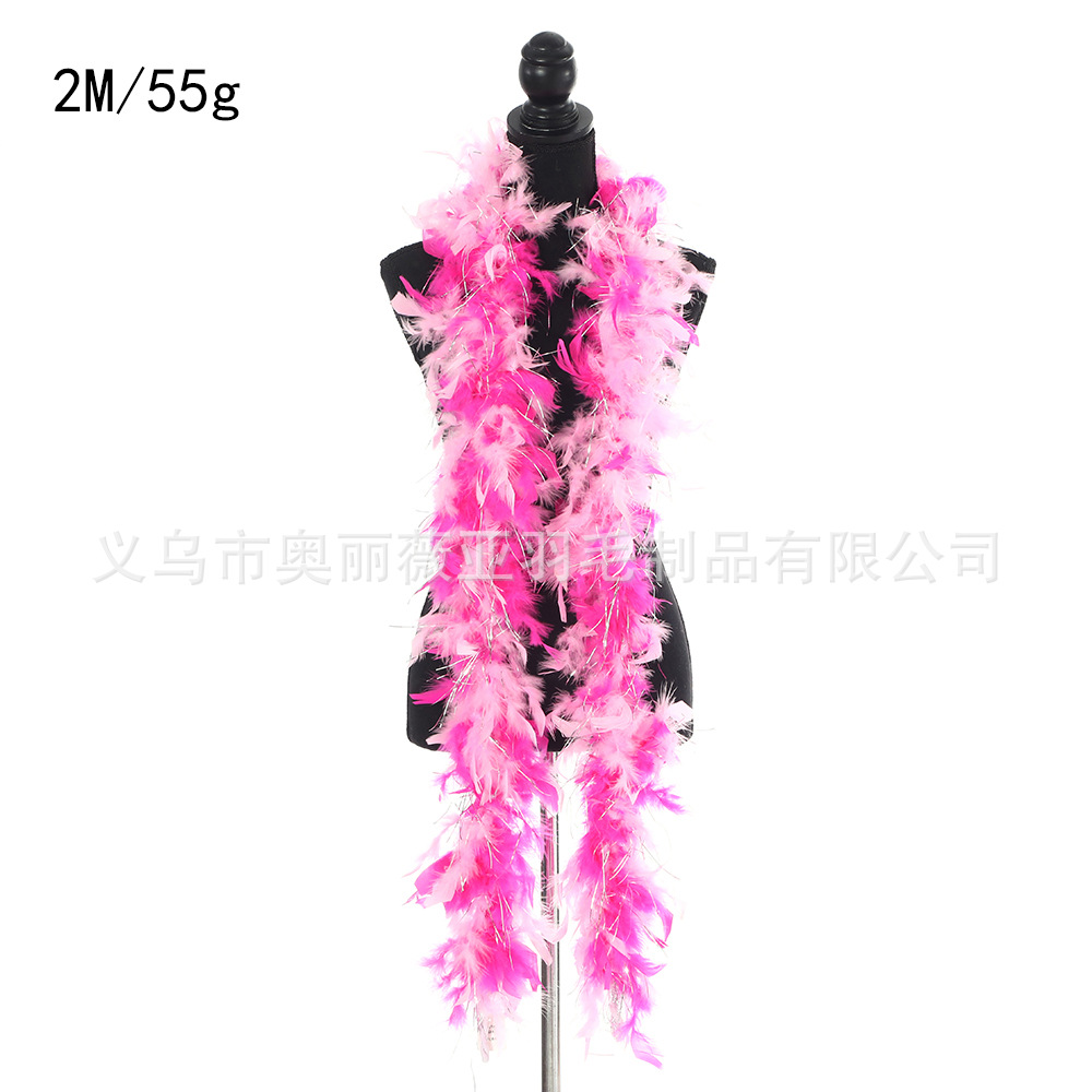 2M/55g 실버 모델