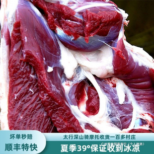 ɽ�����ɽ������̫��ɽ��ɽ��������ϐ��ɽ�������r���������r