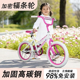 其他非机动车;亲子车;库存交通工具