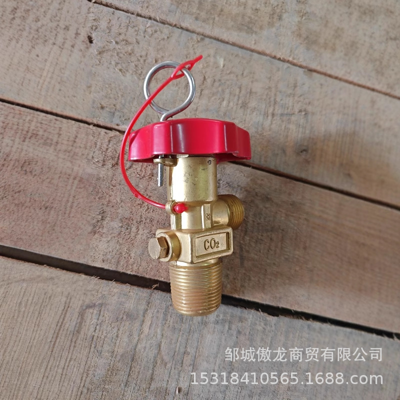 消防二氧化碳阀广消55