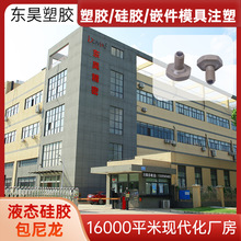 Һ�B���z���z ע��ģ���_ģ���Ƽӹ��S LSR���zע��ģ�߼ӹ����S