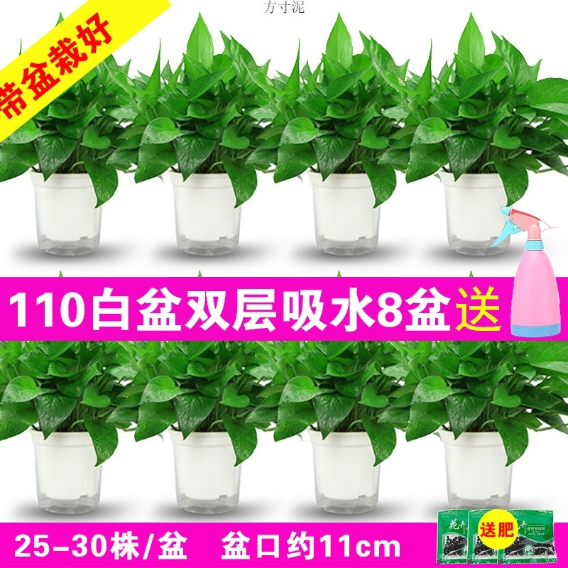 135b2790-1c82-46d2-915c-e00d3f184776.jpe